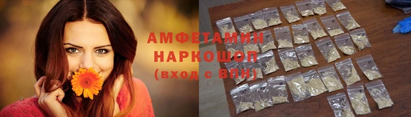 Альфа ПВП Инсар