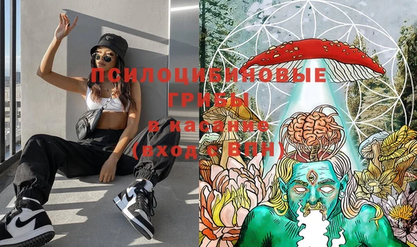 Альфа ПВП Инсар