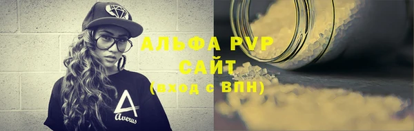 дурь Инта