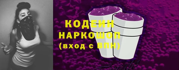 Альфа ПВП Инсар