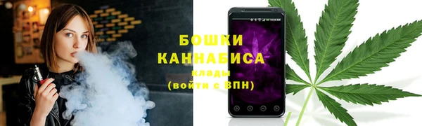 Альфа ПВП Инсар