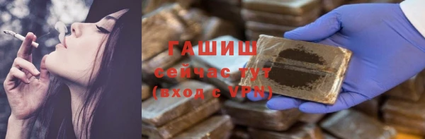 дурь Инта