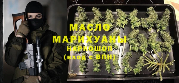Альфа ПВП Инсар