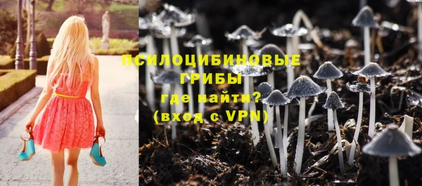 Альфа ПВП Инсар