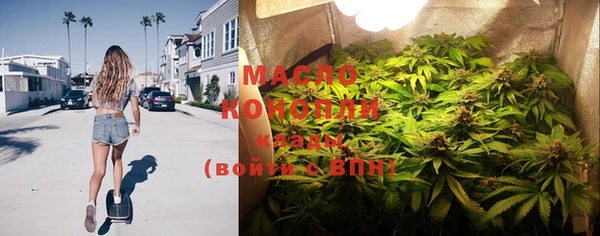 дурь Инта