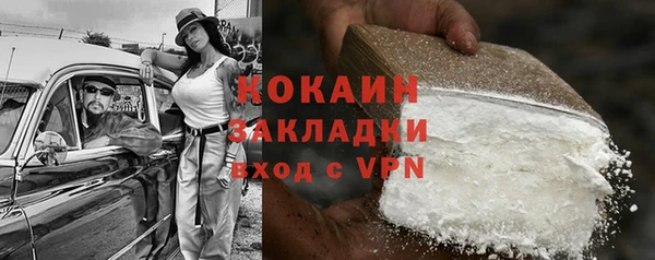 дурь Инта