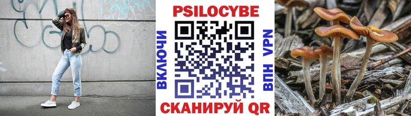 Купить закладки  Чудово  Галлюциногенные грибы ЛСД 